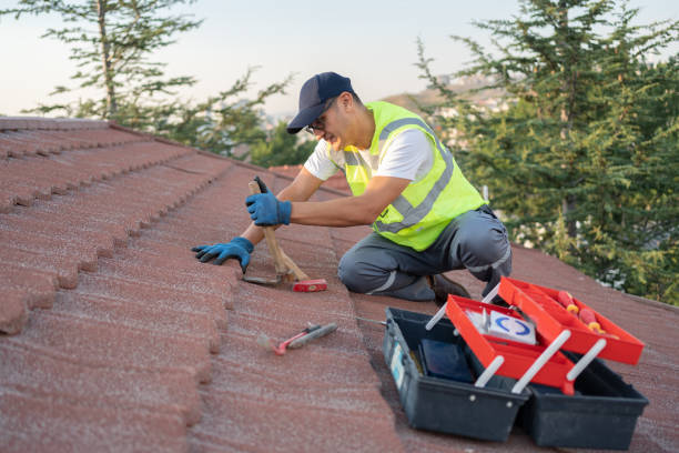 Best Roof Gutter Cleaning  in Arnold, CA